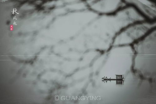 光影俱乐部创作班 在文学与艺术的交汇处探索文艺创作