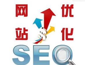 企业为何要做网络营销？姜星星谈网络文化经营之道