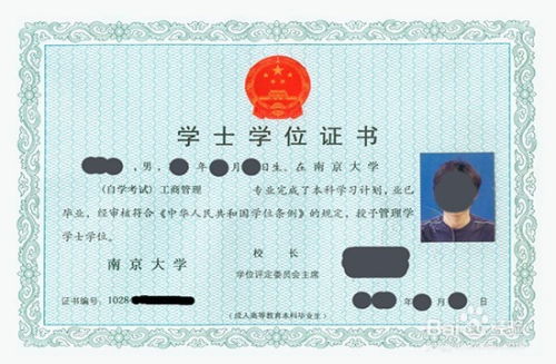 网络文化经营许可证的办理全流程解析